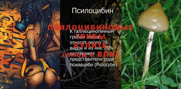 кристаллы Заводоуковск
