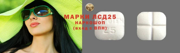 СК Заволжск
