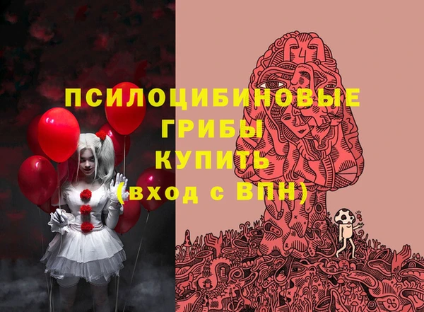 дурь Нягань