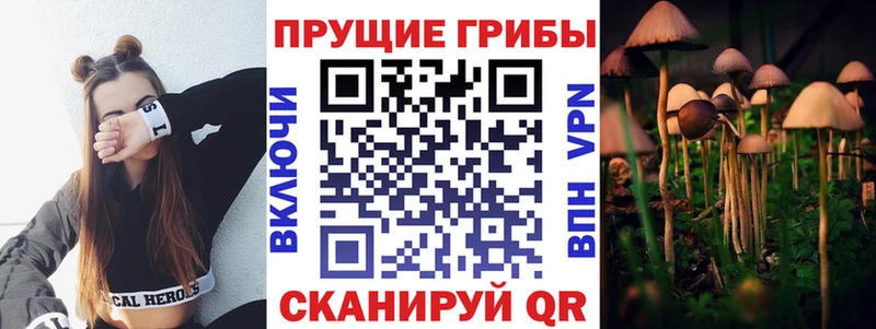 наркошоп  Мензелинск  Псилоцибиновые грибы мухоморы 